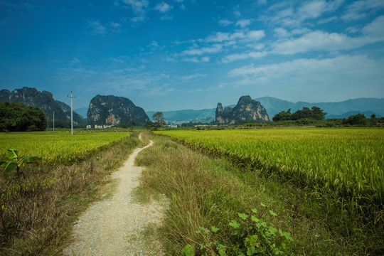 英西峰林