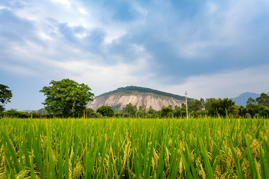 中国广东封开大斑石景区