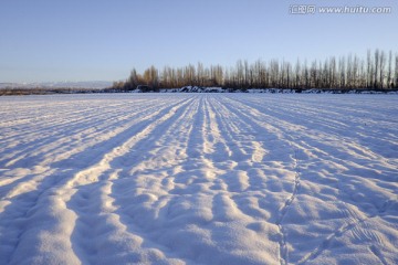 冬天的田野