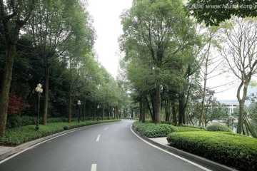 小区道路