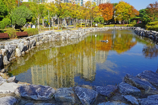 风景素材 池塘秋意