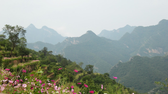 坡峰岭风光