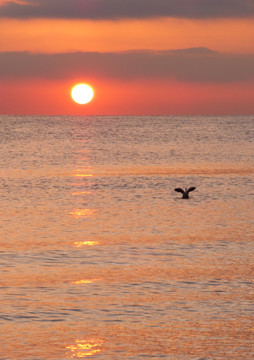 青海湖日出