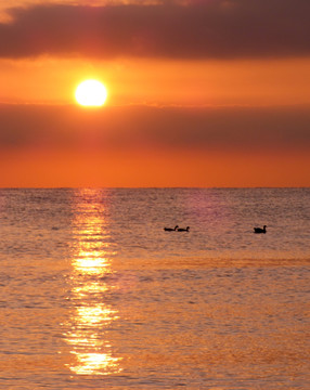 青海湖日出