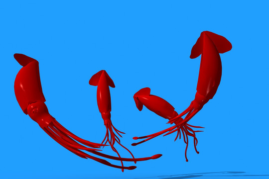 魷魚