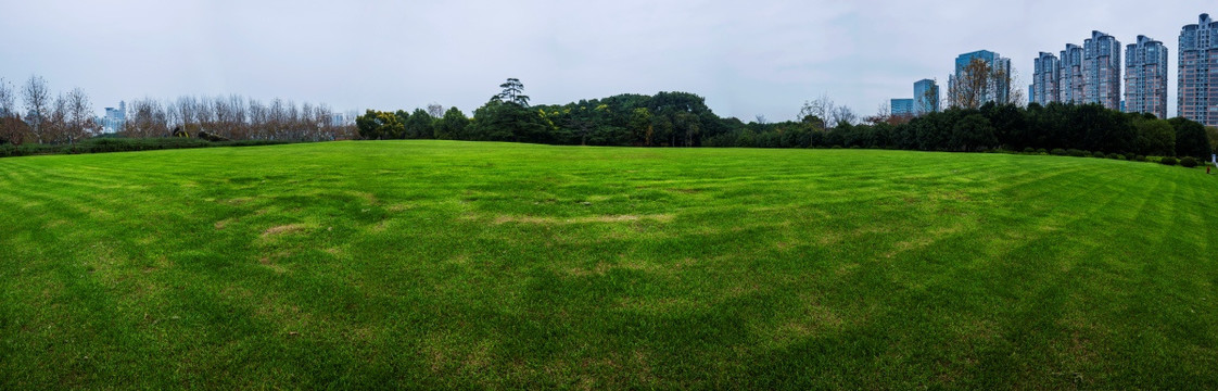 世纪公园绿色草坪