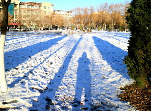 雪景