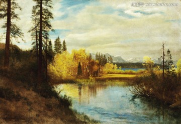 湿地风景油画