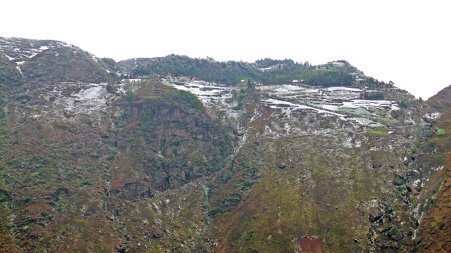 山野冬景 雪山 黃葉山林