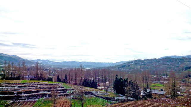 雪山冬景 山林 田地 田园