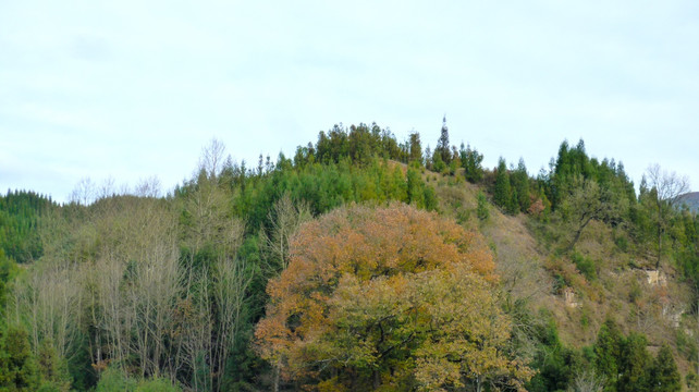 冬景雪景 山村 人家