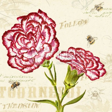 雛菊