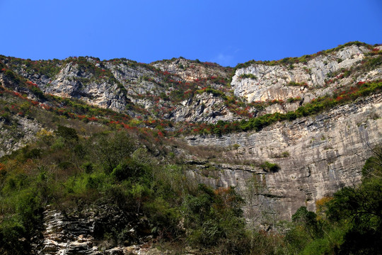 山谷 峭壁 红叶