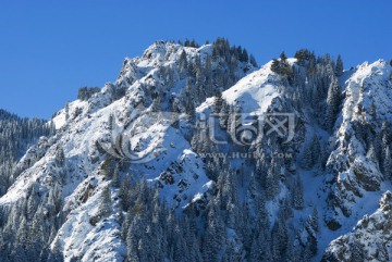 天山雪