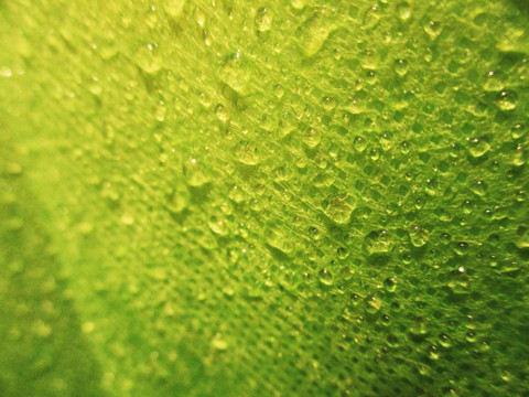 绿色水滴万用背景素材