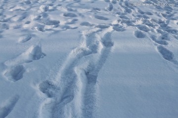 冬天 雪 白雪