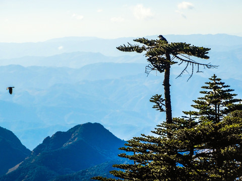 山峰