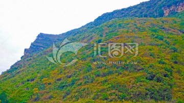 冬景 荒野 山野 大山