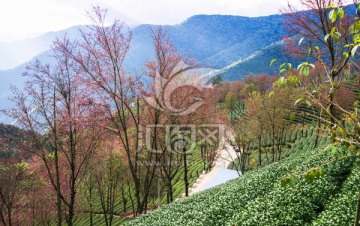 大美无量山