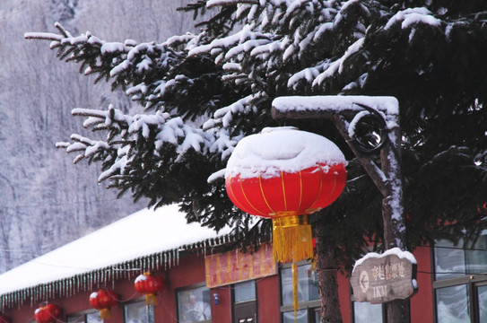 中国雪乡 红灯笼