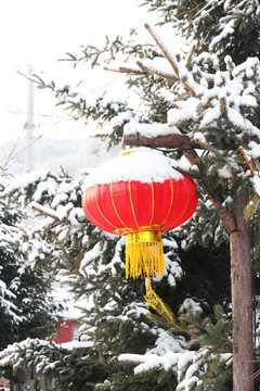 冰雪 大红灯笼