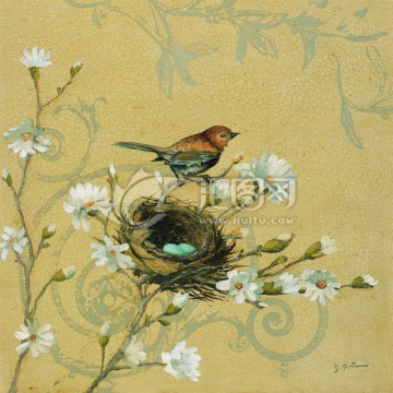 鸟 花卉 装饰画
