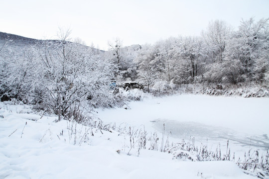 空旷雪野