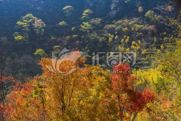 汶川羌峰寨秋色