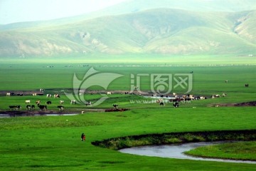 夏季草原牧场