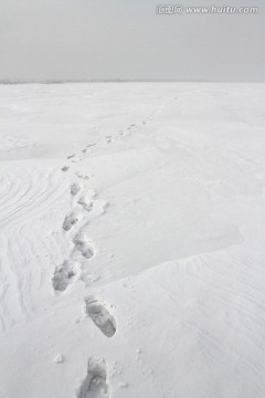 雪痕 白雪 脚印