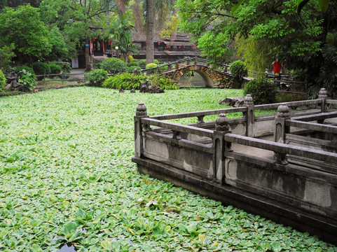 广西民族文物苑园林小景