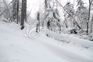 林海雪原 童话世界