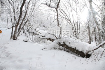 林海雪原 童话世界