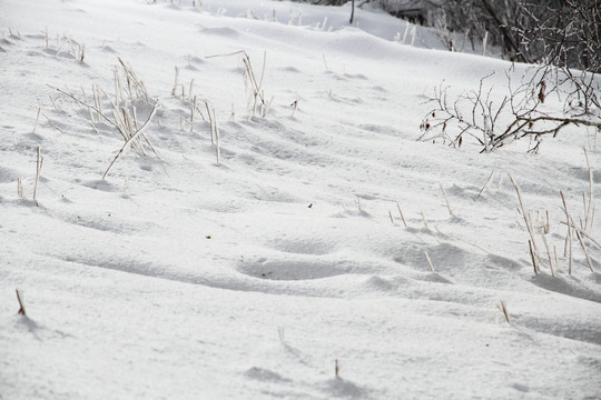 旷野雪地 雪地纹理