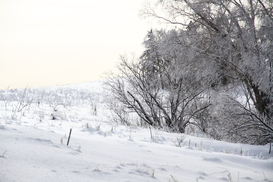 旷野雪地 雪地纹理 北国风光