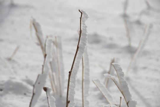 旷野雪地 雪地纹理