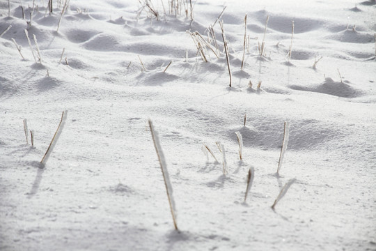 旷野雪地 雪地纹理