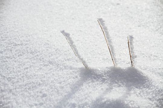 雪地纹理 雪地痕迹