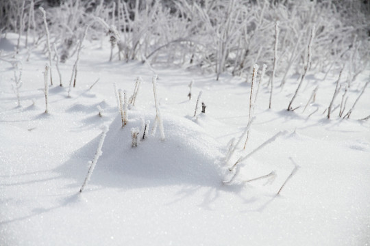 旷野雪地 雪地痕迹