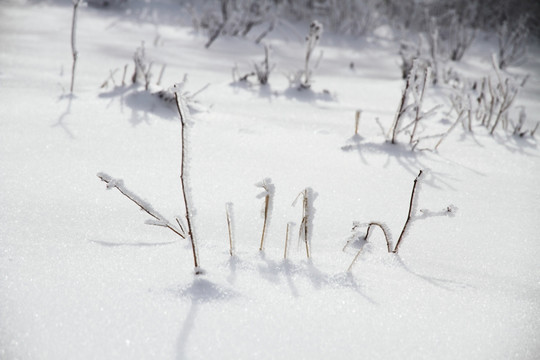 旷野 雪地