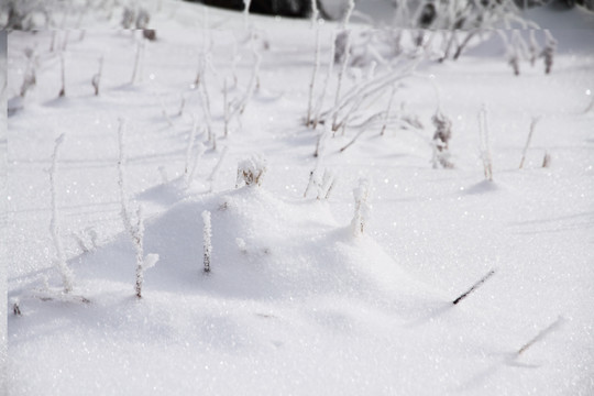 旷野雪地