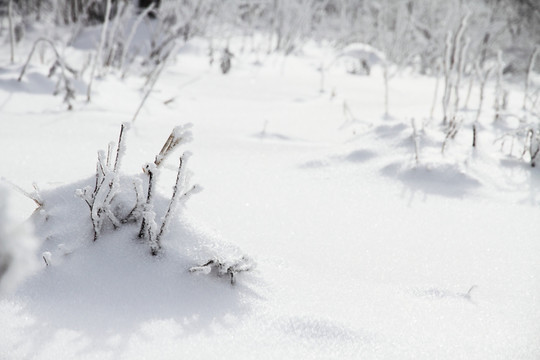 旷野雪地