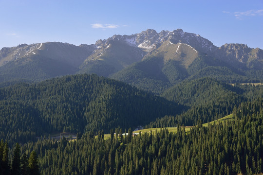 天山原始森林