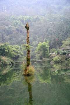 清音平湖