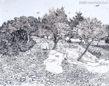 梵高素描 橄榄树