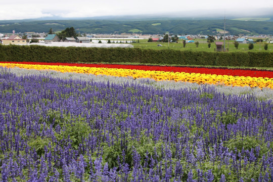 日本北海道