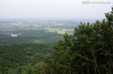 森林和旷野