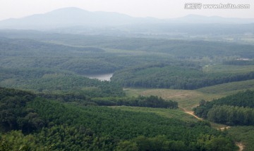 滁州皇甫山林场