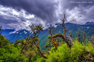 高黎贡山 怒江风光