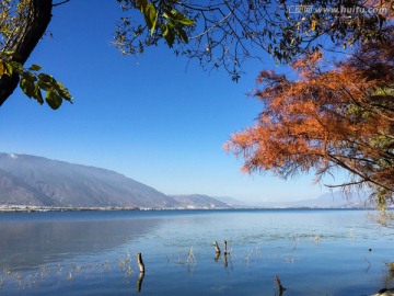 大理洱海 秋景